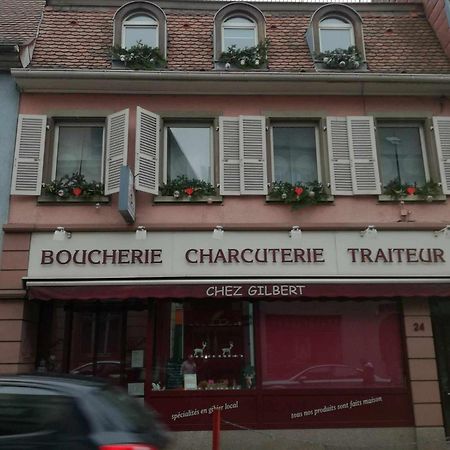 "Cote Nature", Appartement Cosy Au Coeur De Munster Munster  Exterior foto
