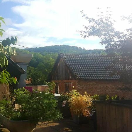 "Cote Nature", Appartement Cosy Au Coeur De Munster Munster  Exterior foto