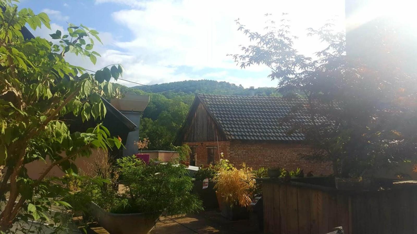 "Cote Nature", Appartement Cosy Au Coeur De Munster Munster  Exterior foto