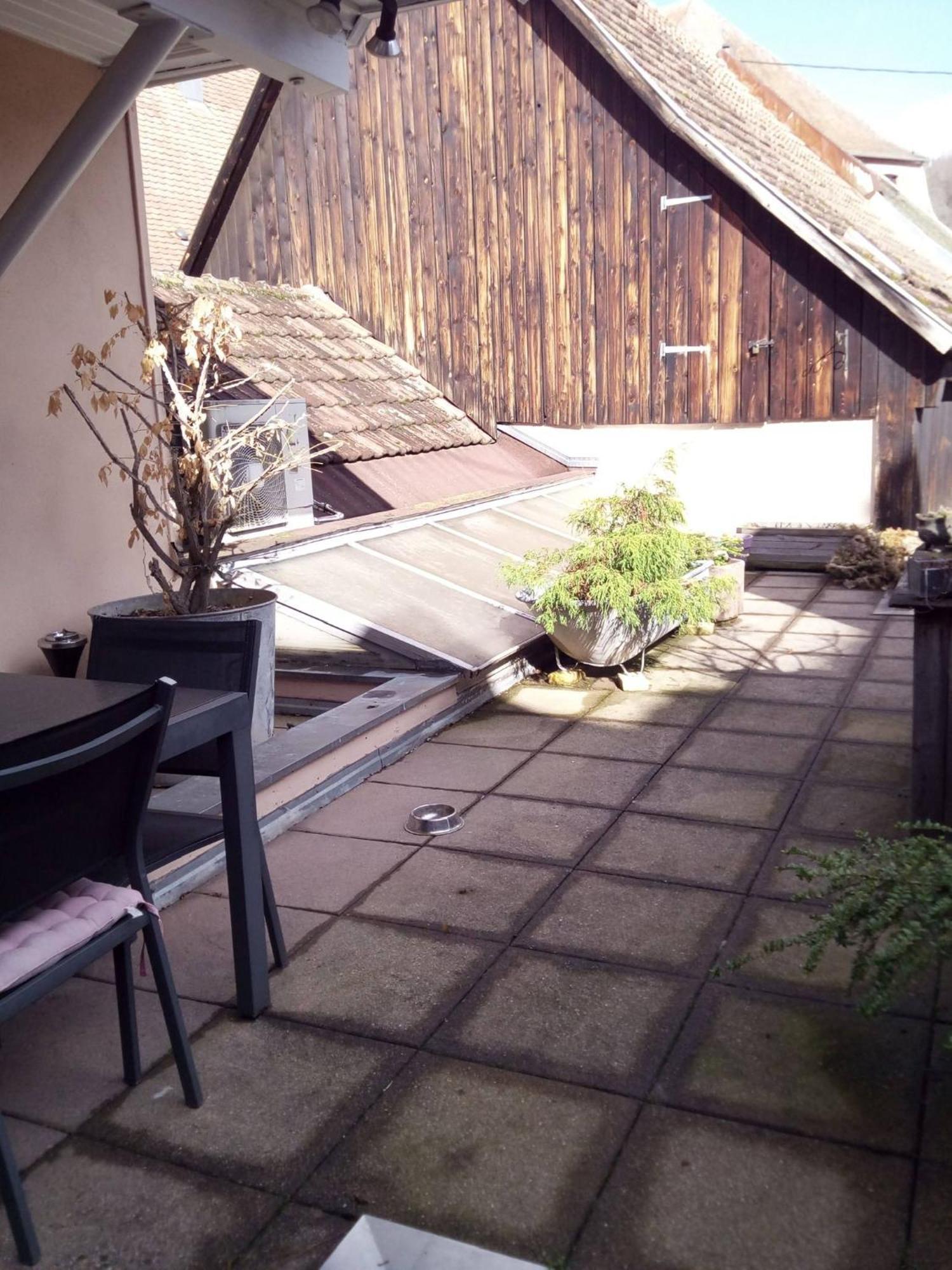 "Cote Nature", Appartement Cosy Au Coeur De Munster Munster  Exterior foto